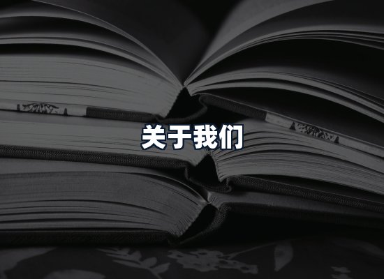 关于我们